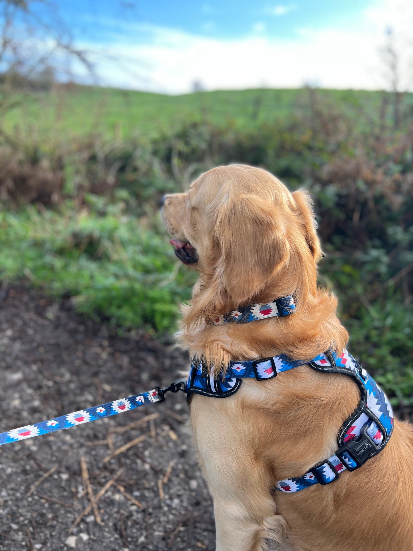 Adventure harness - Inca